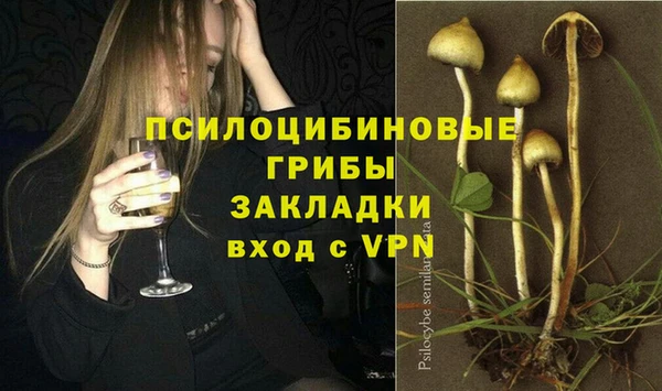 дурь Алексин