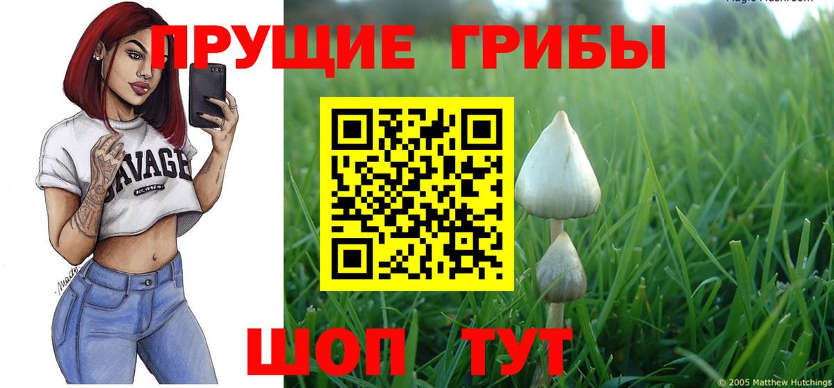 Галлюциногенные грибы Psilocybine cubensis  наркотики  Урай  Псилоцибиновые грибы Magic Shrooms  Вход с VPN 